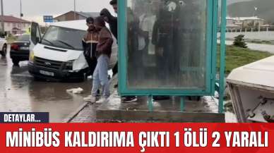 Minibüs kaldırıma çıktı 1 öl* 2 yaralı