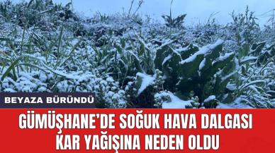 Gümüşhane’de soğuk hava dalgası kar yağışına neden oldu