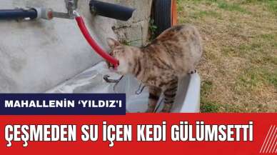 Hatay'da çeşmeden su içen kedi gülümsetti