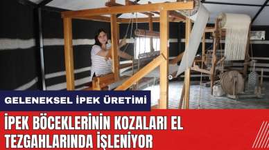 Hatay'da geleneksel ipek üretimi! İpek böceklerinin kozaları el tezgahlarında işleniyor