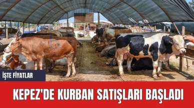 Kepez'de kurban satışları başladı