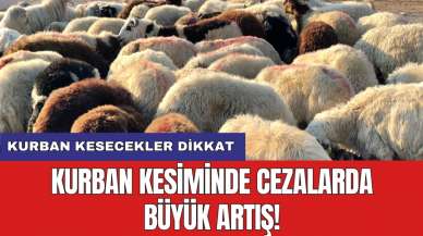 Kurban kesiminde cezalarda büyük artış!