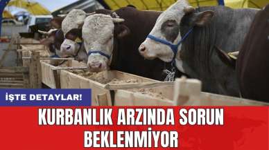 Kurbanlık arzında sorun beklenmiyor