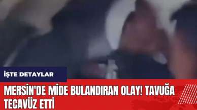 Mersin'de mide bulandıran olay! Tavuğa tecav*z etti