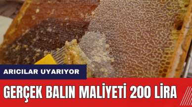 Mersinli arıcılar uyarıyor: Gerçek balın maliyeti 200 lira