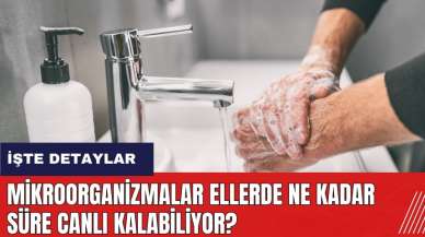 Mikroorganizmalar eller üzerinde ne kadar süre canlı kalabiliyor?