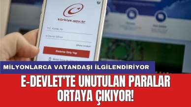 Milyonlarca vatandaşı ilgilendiriyor: e-Devlet'te unutulan paralar ortaya çıkıyor!