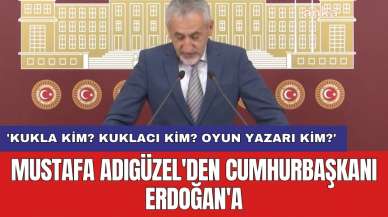 Mustafa Adıgüzel'den Cumhurbaşkanı Erdoğan'a: 'Kukla kim? Kuklacı kim? Oyun yazarı kim?'