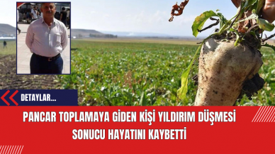 Pancar Toplamaya Giden Kişi Yıldırım Düşmesi Sonucu Hayatını Kaybetti