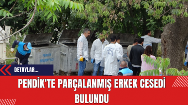 Pendik'te Parçalanmış Erkek Cesedi Bulundu