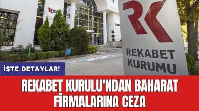 Rekabet Kurulu'ndan baharat firmalarına dev ceza