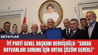 İYİ Parti Genel Başkanı Dervişoğlu: "Sokak Hayvanları Sorunu İçin Ortak Çözüm Gerekli"