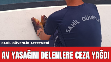 Avlanması Yasak Olan Balığı Avlayanlara Ceza Yağdı