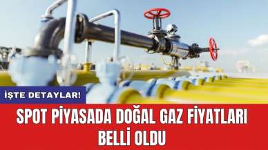 Spot piyasada doğal gaz fiyatları belli oldu