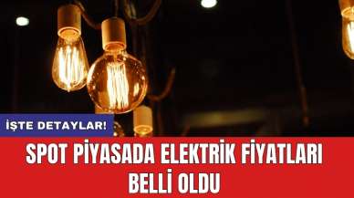 Spot piyasada elektrik fiyatları belli oldu