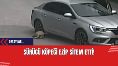 Sürücü Köpeği Ezip Sitem Etti!