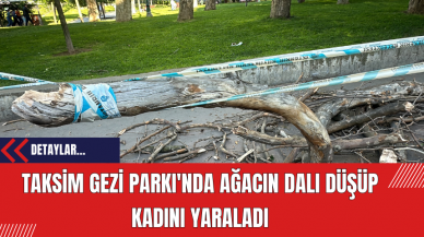 Taksim Gezi Parkı'nda Ağacın Dalı Düşüp Kadını Yaraladı