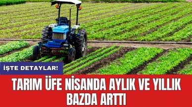 Tarım ÜFE nisanda aylık ve yıllık bazda arttı