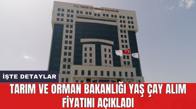 Tarım ve Orman Bakanlığı yaş çay alım fiyatını açıkladı