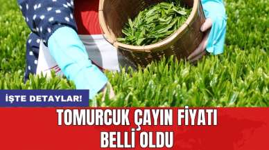 Tomurcuk çayın fiyatı belli oldu