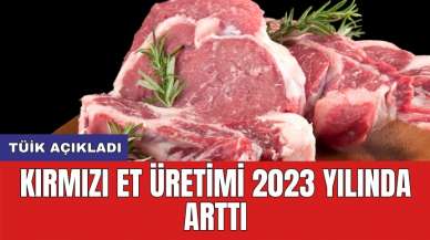 TÜİK açıkladı: Kırmızı et üretimi 2023 yılında arttı