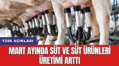 TÜİK açıkladı: Mart ayında süt ve süt ürünleri üretimi arttı