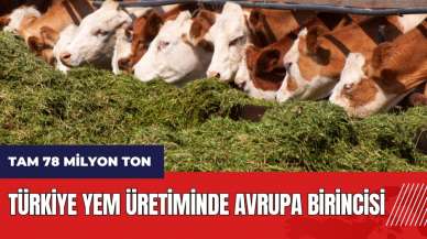 Türkiye yem üretiminde Avrupa birincisi! Tam 78 milyon ton