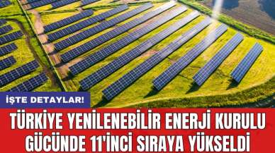 Türkiye yenilenebilir enerji kurulu gücünde 11'inci sıraya yükseldi