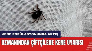 Uzmanından çiftçilere kene uyarısı