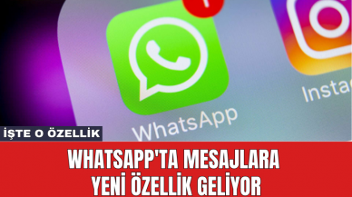 WhatsApp'ta mesajlara yeni özellik geliyor