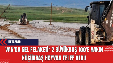 Van'da sel felaketi:2 büyükbaş 100'e yakın küçükbaş hayvan telef oldu