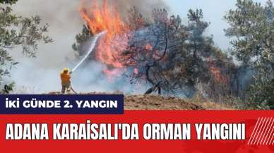 Adana Karaisalı'da orman yangını