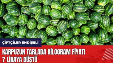 Adana karpuzunun tarlada kilogram fiyatı 7 liraya düştü