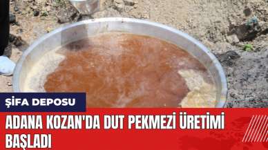 Adana Kozan'da dut pekmezi üretimi başladı