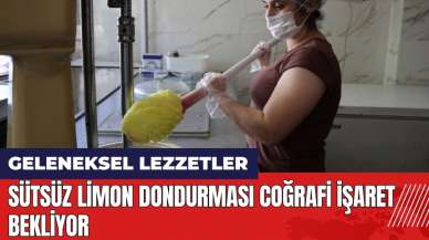 Adana Kozan'da sütsüz limon dondurması coğrafi işaret bekliyor