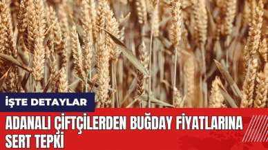 Adanalı çiftçilerden buğday fiyatlarına sert tepki