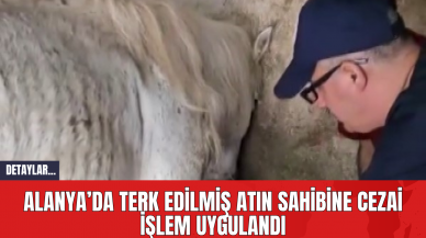 Alanya’da Terk Edilmiş Atın Sahibine Cezai İşlem Uygulandı