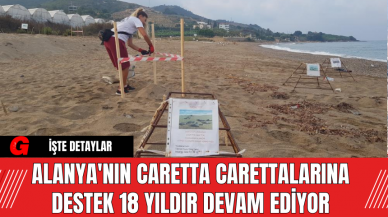 Alanya'nın Caretta Carettalarına Destek 18 Yıldır Devam Ediyor