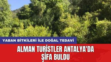 Alman turistler Antalya'da şifa buldu: Yaban bitkileri ile doğal tedavi