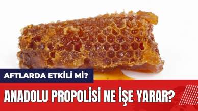 Anadolu propolisi ne işe yarar? Aftlarda etkili mi?