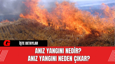 Anız Yangını Nedir? Anız Yangını Neden Çıkar?