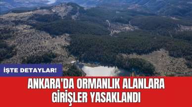 Ankara'da ormanlık alanlara girişler yasaklandı