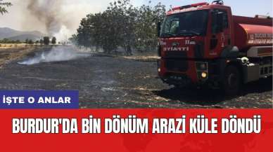 Burdur'da bin dönüm arazi küle döndü