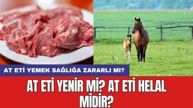 At eti haram mı? At eti helal midir?