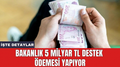 Bakanlık 5 milyar TL destek ödemesi yapıyor