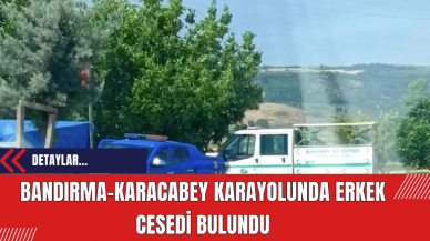 Bandırma-Karacabey Karayolunda Erkek Cesedi Bulundu