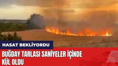 Buğday tarlası saniyeler içinde kül oldu