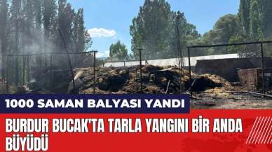 Burdur Bucak'ta tarla yangını bin saman balyasını kül etti