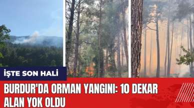 Burdur'da orman yangını! 10 dekar alan yok oldu