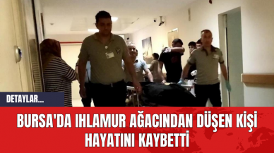 Bursa'da Ihlamur Ağacından Düşen Kişi Hayatını Kaybetti